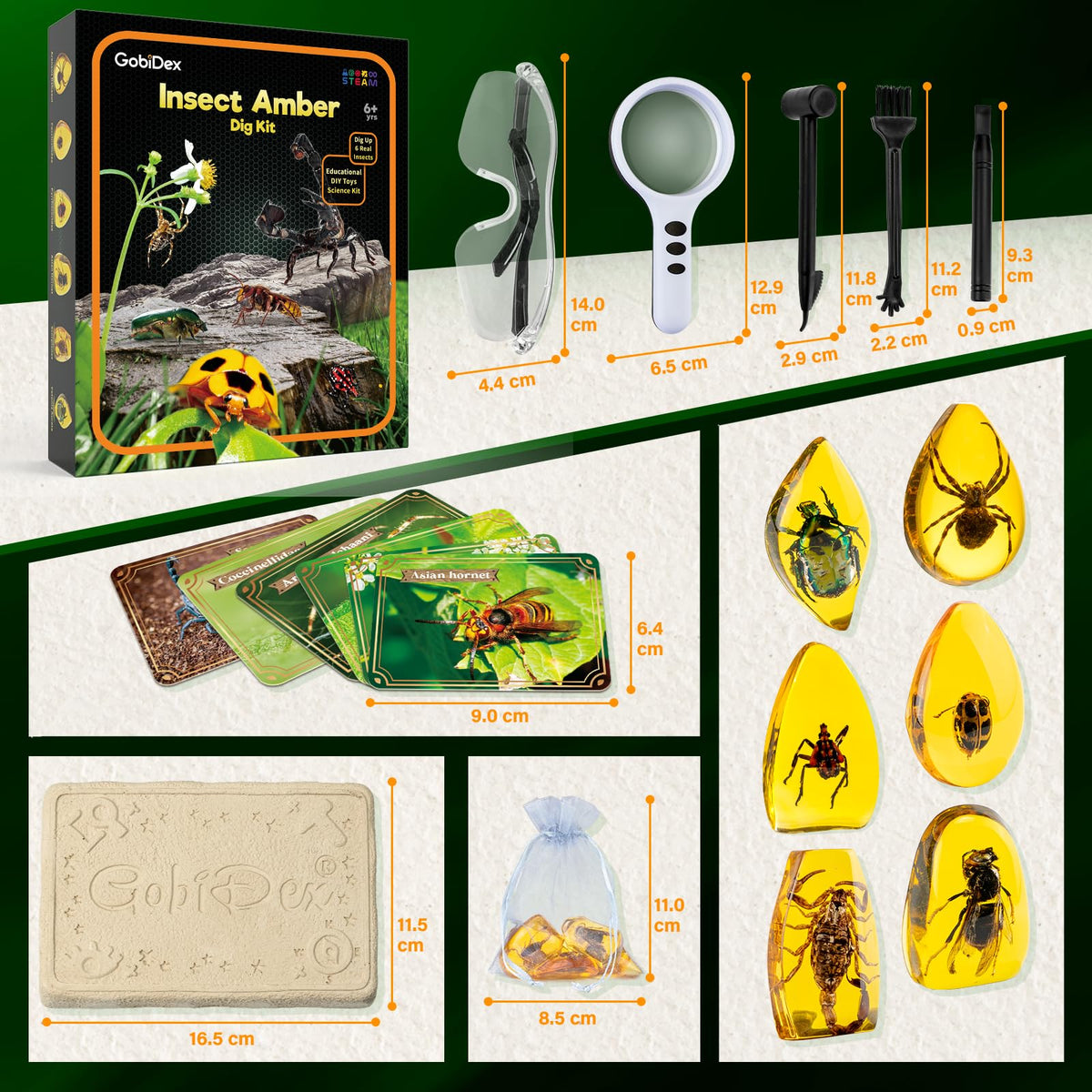 Insect Amber Dig Kit – 6-Piece Fossil Excavation STEM Science Kit