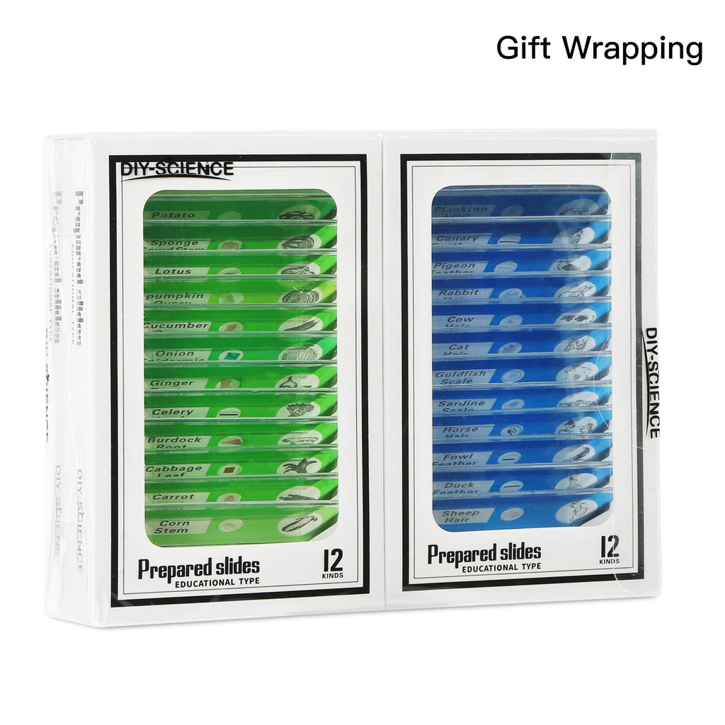 48 Prepared Microscope Slides Set of Animals Insects Plants Flowers, Biological Learning Resource Specimens for Kids
