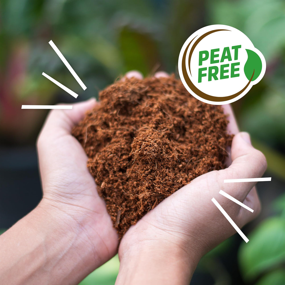 51 Quart Expanding Soil, Great for Seeds and Potting