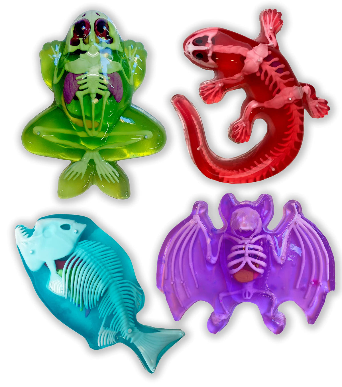 Dissect-It, Variety Animal Dissection Kit, STEM Toys for Kids, Ages 6+