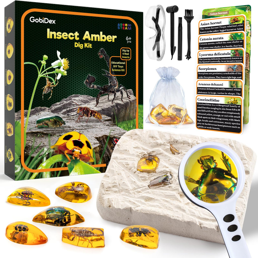 Insect Amber Dig Kit – 6-Piece Fossil Excavation STEM Science Kit