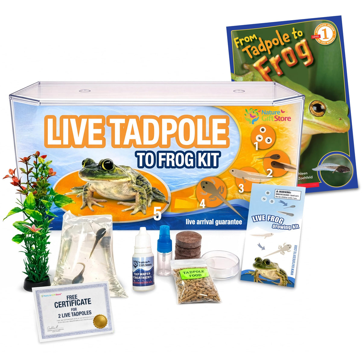 Tadpole to Frog Kit with Book With Certificate for Tadpoles