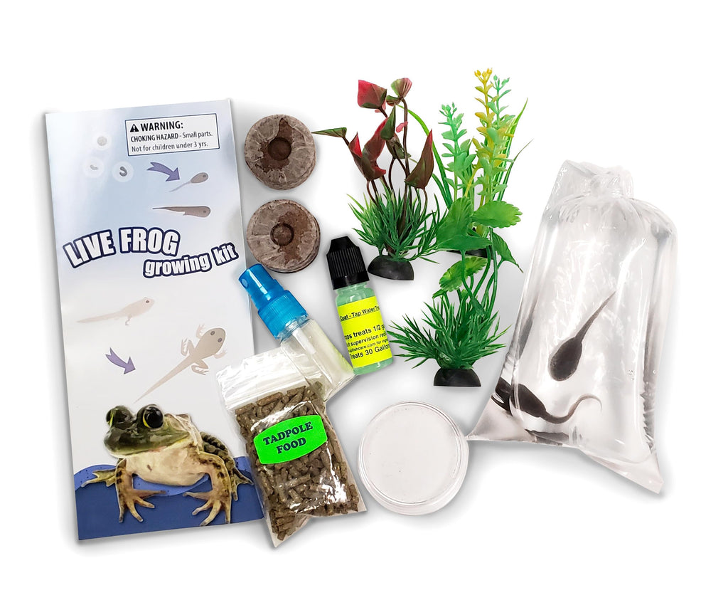 Tadpole to Frog Kit with Book With Certificate for Tadpoles