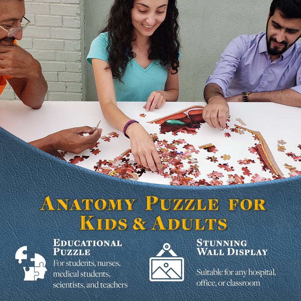 Dr. Livingston's Human Eye Anatomy Puzzle - A Medically Accurate Jigsaw Puzzle of the Human Eye - Educational Science Puzzles and Unique Gifts for Eye Doctors, Nurses and Medical Students