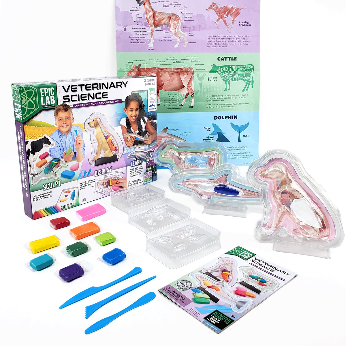 ArtSkills Vet Kit for Kids Animal Anatomy Veterinary Science Kit for Kids
