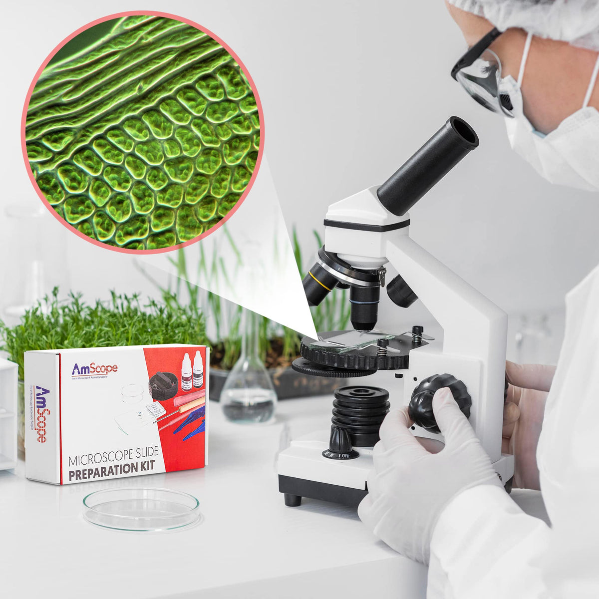 Microscope Slide Preparation Kit - Includes Blank Slides