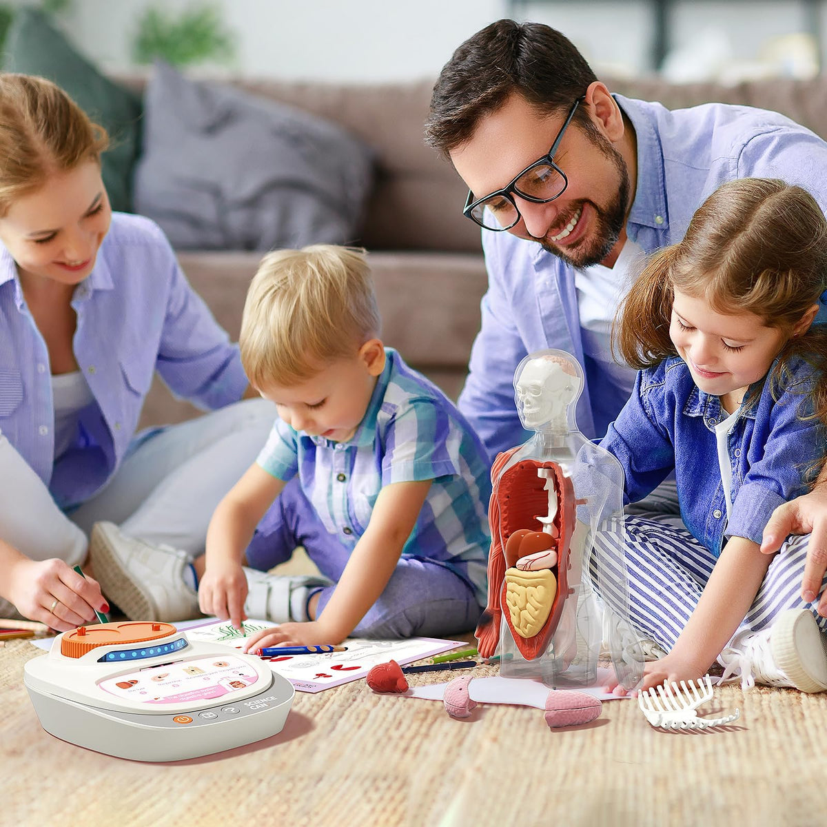 Science Can Human Body Model for Kids, Interactive Anatomy Kit