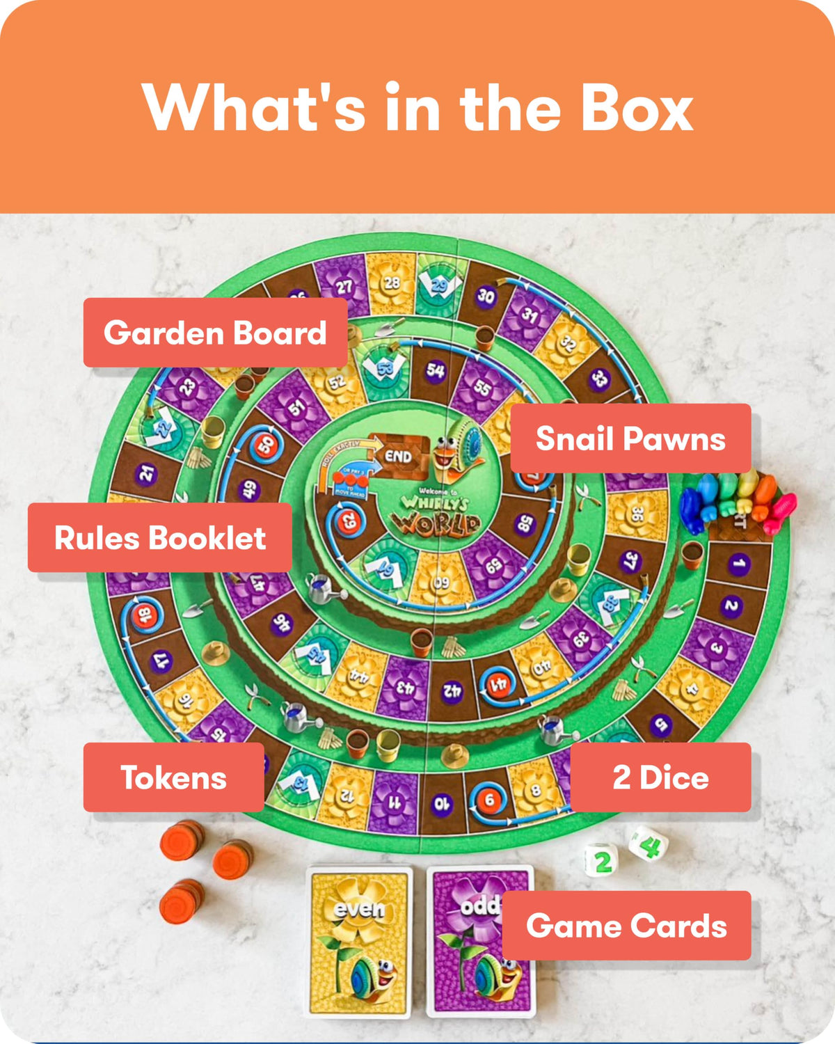Whirly’s World - Educational Board Game for Kids - Math Game to Teach Concept of Even & Odds - 2-6 Players, Ages 6 & Up