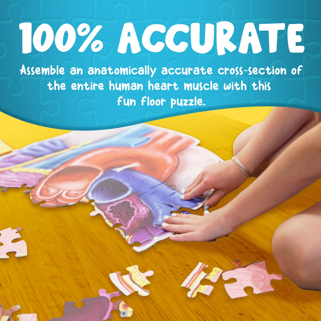 Human Heart Anatomy Floor Puzzle — Genius Games Doctor Livingston Jr Anatomy Toy - Kids Puzzles & Science Toys - Human Heart Model - 100 Piece Jigsaw Puzzles for Kids, Toddlers, Teens