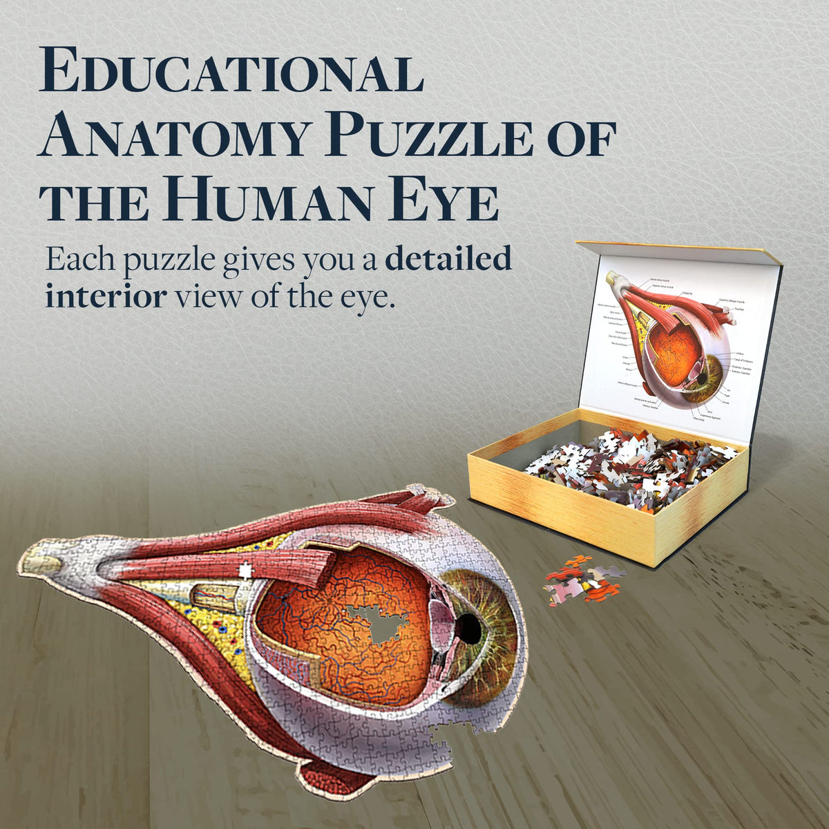 Dr. Livingston's Human Eye Anatomy Puzzle - A Medically Accurate Jigsaw Puzzle of the Human Eye - Educational Science Puzzles and Unique Gifts for Eye Doctors, Nurses and Medical Students