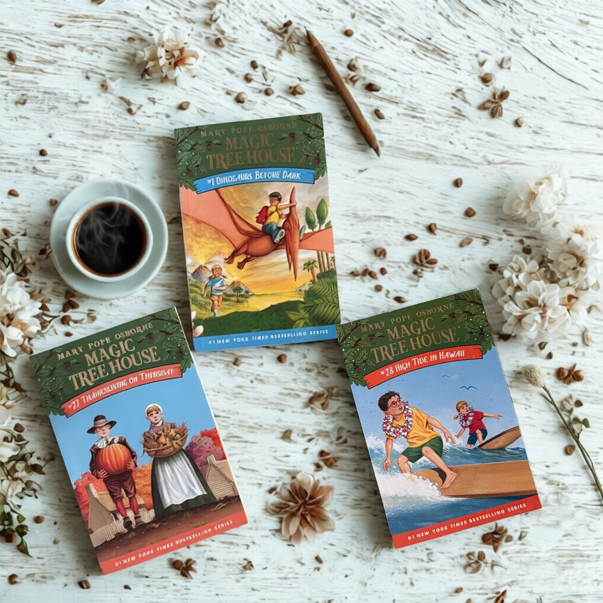 A Library of Tree Houses Complete 1-39 Paperback Books Box Set Series