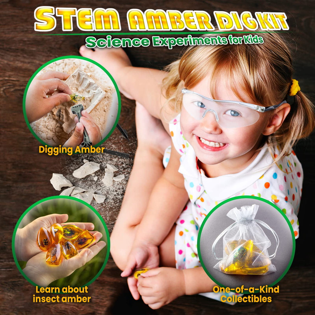 Insect Amber Dig Kit – 6-Piece Fossil Excavation STEM Science Kit