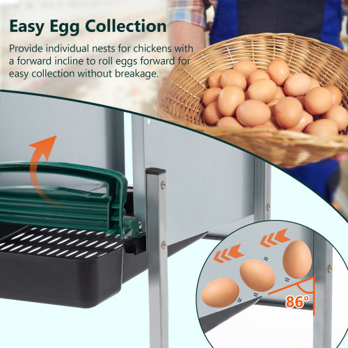4-Hole Chicken Nest, With Legs And Cover To Protect Eggs