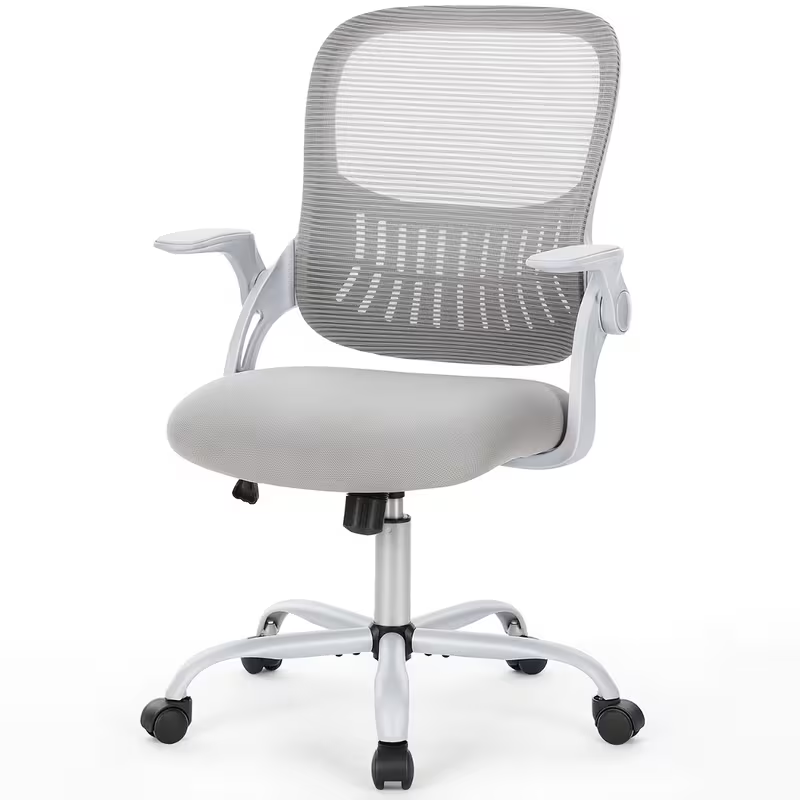 Ergonomic Office Desk Chair with Lumbar Support Fixed or Flip-up Armrest | Gray