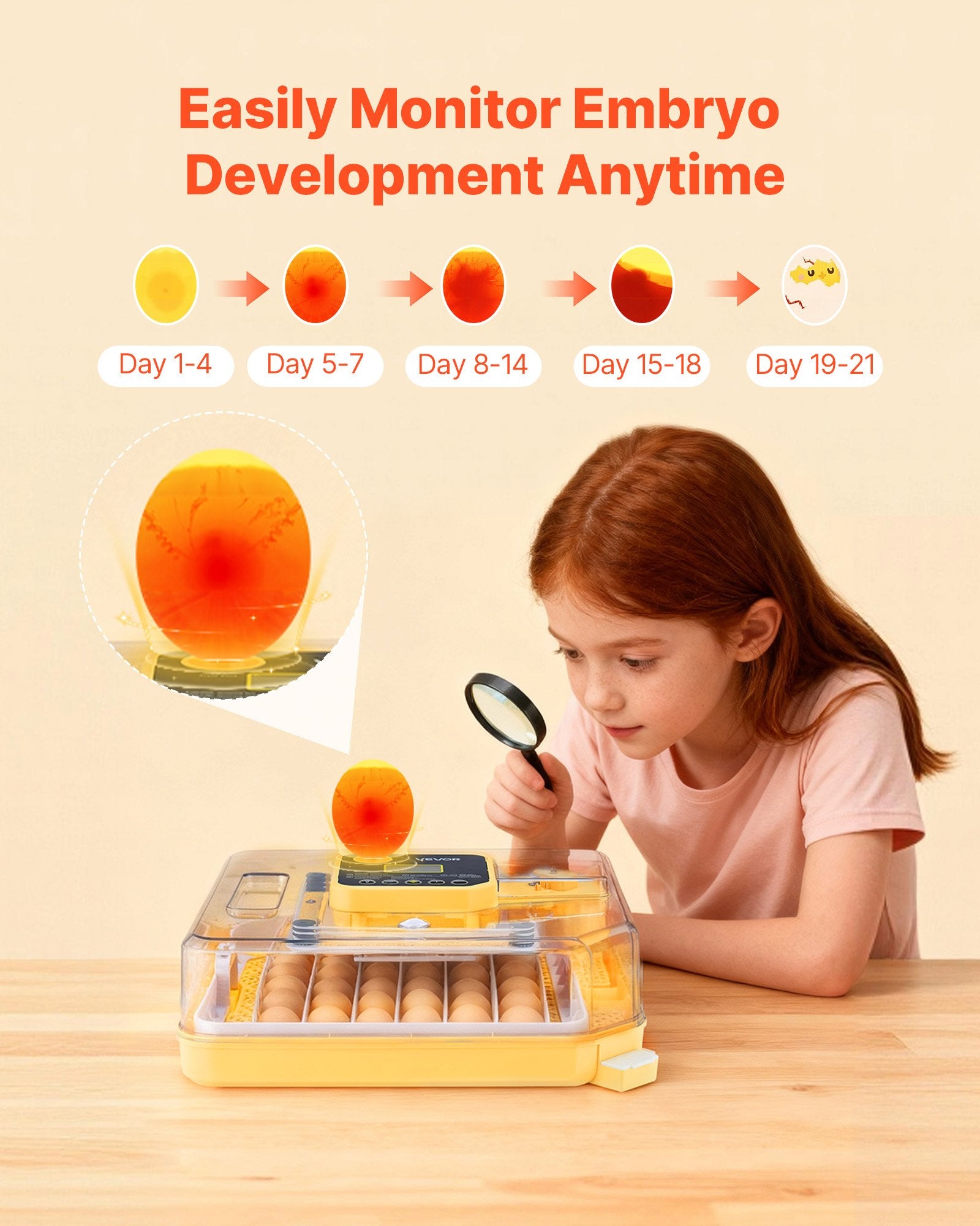 48 Egg Incubator, Automatic Turner With LED Candler, For Hatching Chicks, Ducks, Goose, and Quail Eggs