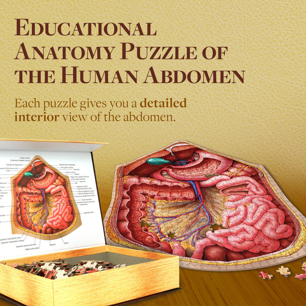 Genius Games Human Abdomen Anatomy Jigsaw Puzzle | Dr Livingston's Unique Shaped Science Puzzles, Accurate Medical Illustrations of the Body, Organs, Stomach, Liver and Intestines