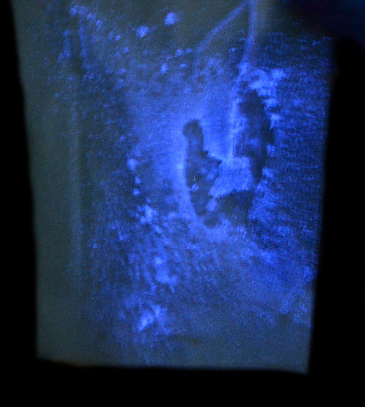 ALDON Innovating Science Chemiluminescence in Blood Stain Detection Forensic Kit