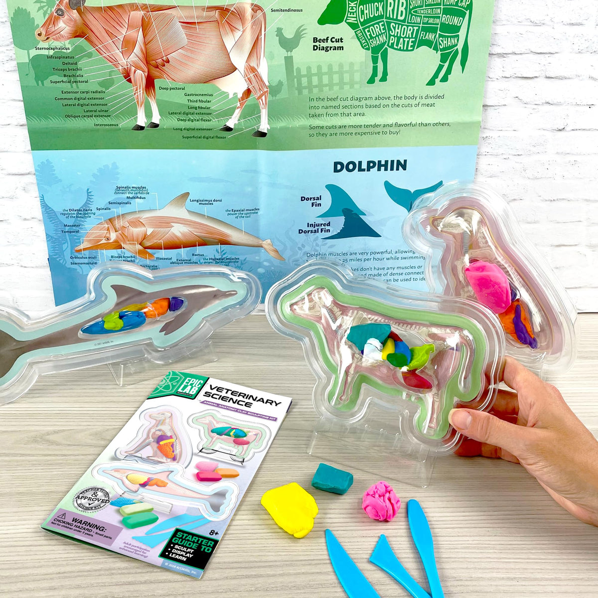 ArtSkills Vet Kit for Kids Animal Anatomy Veterinary Science Kit for Kids