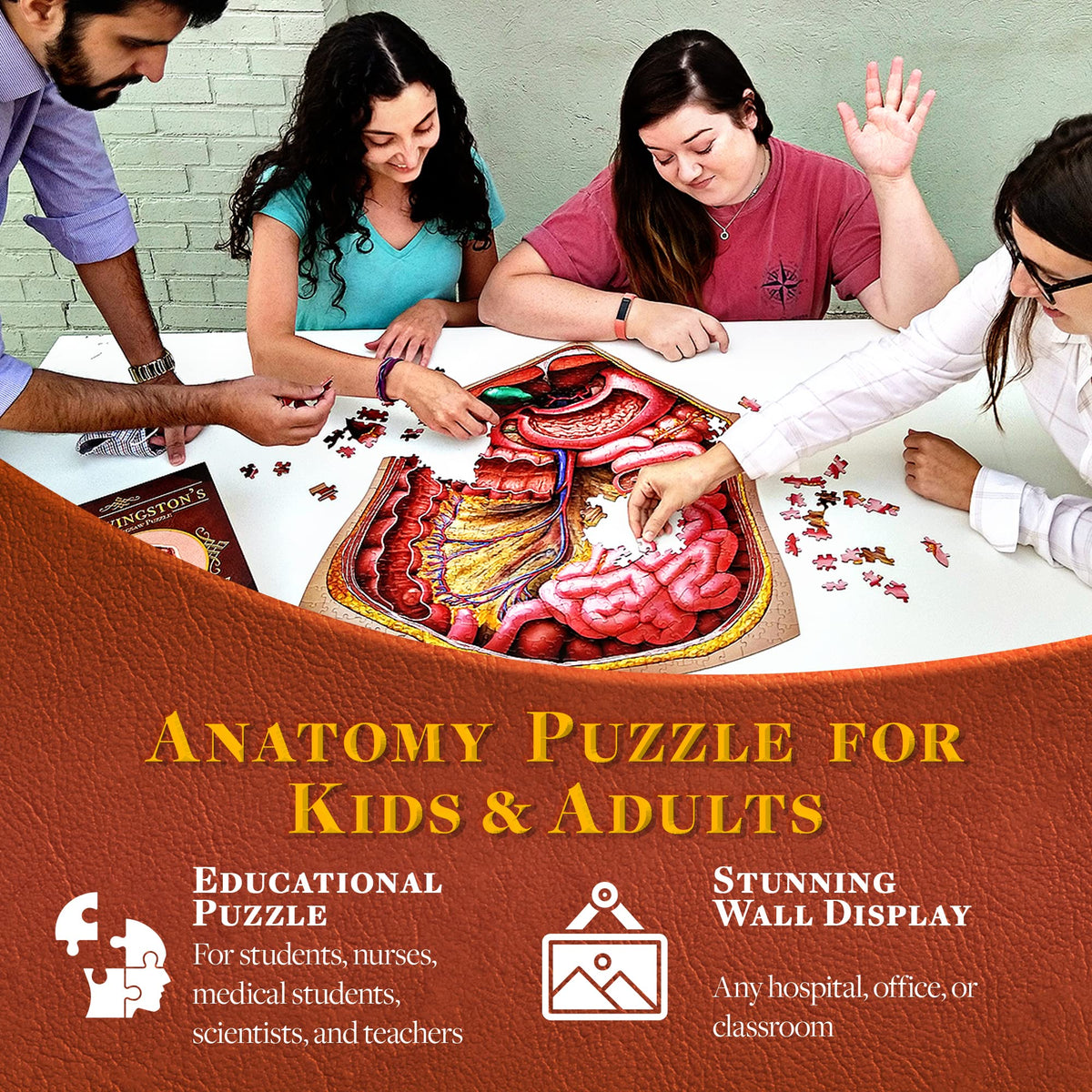 Genius Games Human Abdomen Anatomy Jigsaw Puzzle | Dr Livingston's Unique Shaped Science Puzzles, Accurate Medical Illustrations of the Body, Organs, Stomach, Liver and Intestines