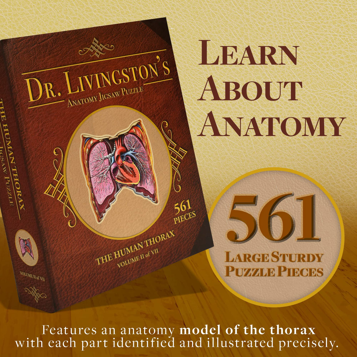 Human Thorax Anatomy Puzzle - Adult Jigsaw Puzzles Unique Gifts for Kids, Nurses, Doctors, Medical Students, Educational Science - 411 Piece Teen Floor Puzzle - Genius Games Dr. Livingston Body Model