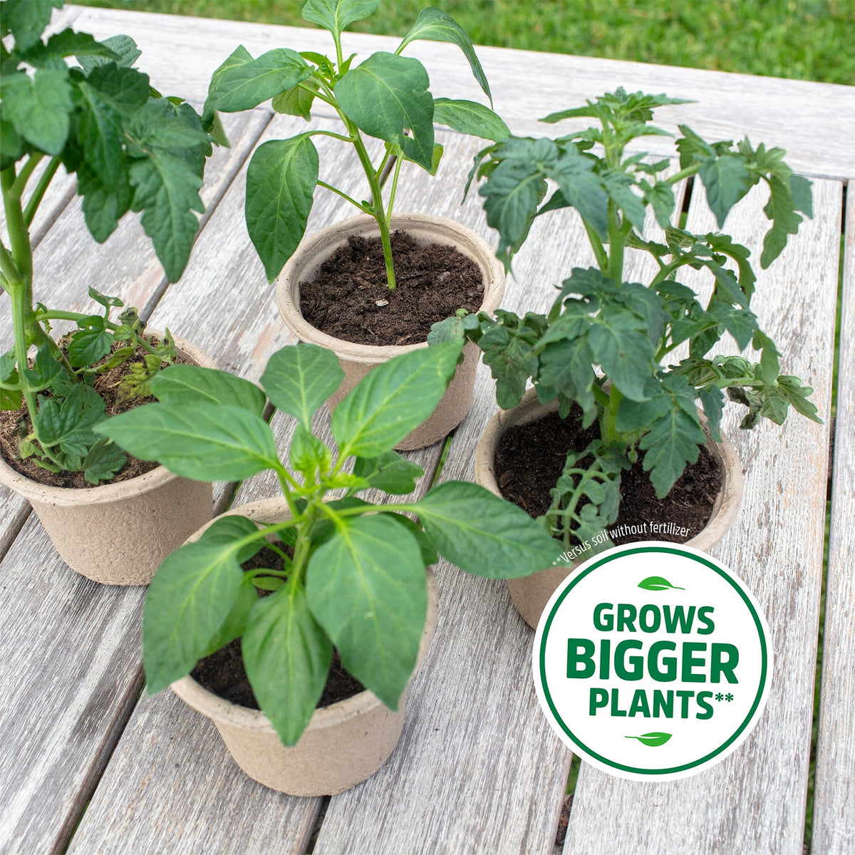Back to the Roots 3-in-1 Seed Starting Mix 12 Quarts, 100% Organic