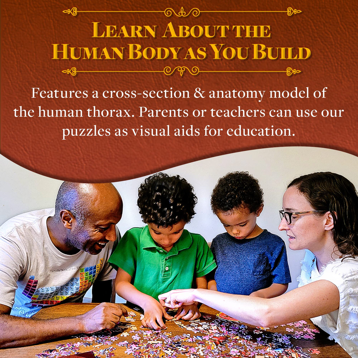 Human Thorax Anatomy Puzzle - Adult Jigsaw Puzzles Unique Gifts for Kids, Nurses, Doctors, Medical Students, Educational Science - 411 Piece Teen Floor Puzzle - Genius Games Dr. Livingston Body Model