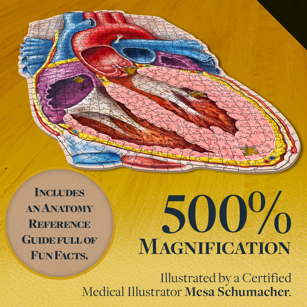 Dr. Livingston's Human Heart Anatomy Puzzle - A Medically Accurate Jigsaw Puzzle of the Heart Section - Educational Organ Puzzle for Teens & Adults - Unique Science Gift for Doctors, Nurses & Teachers