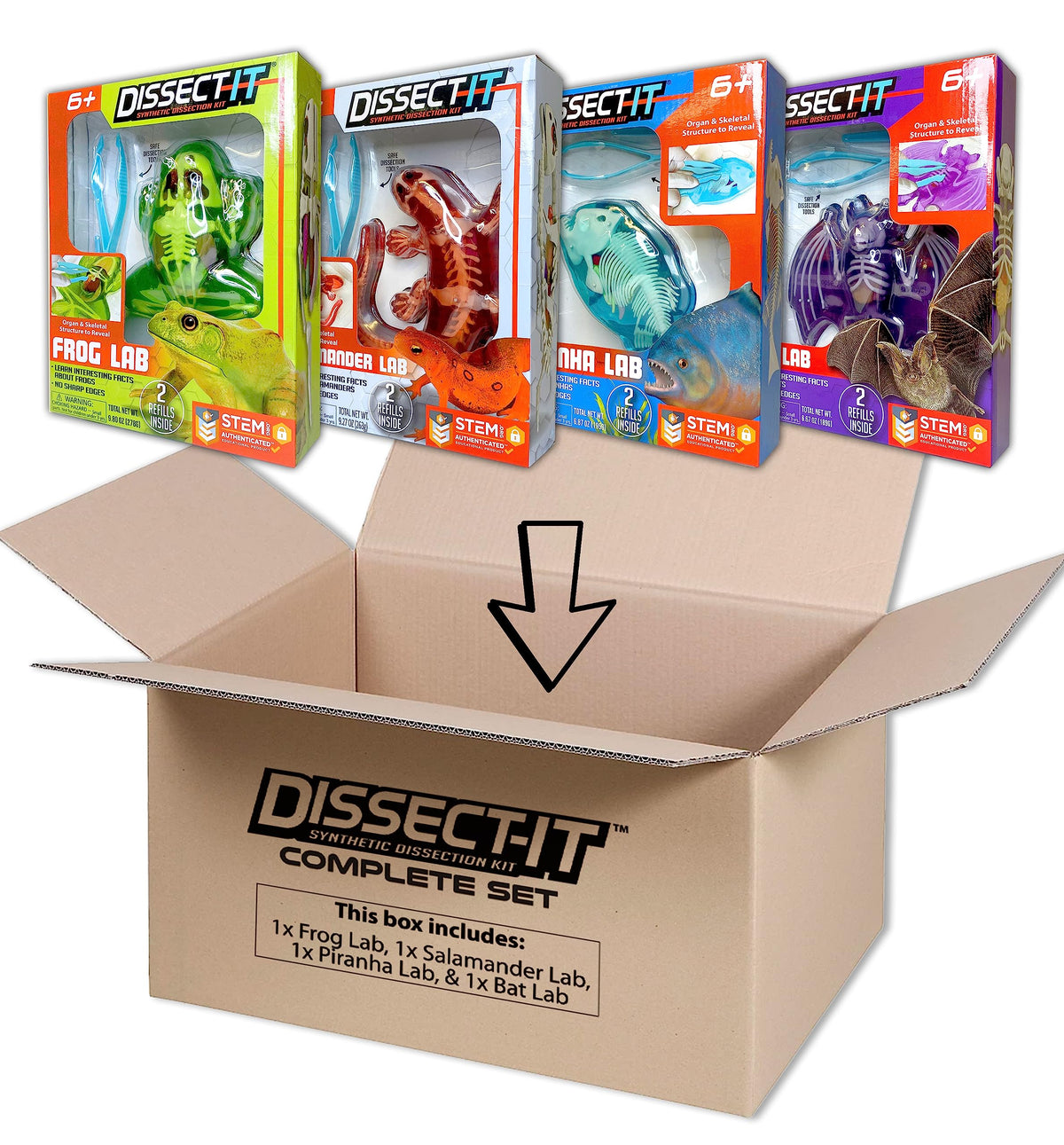 Dissect-It, Variety Animal Dissection Kit, STEM Toys for Kids, Ages 6+
