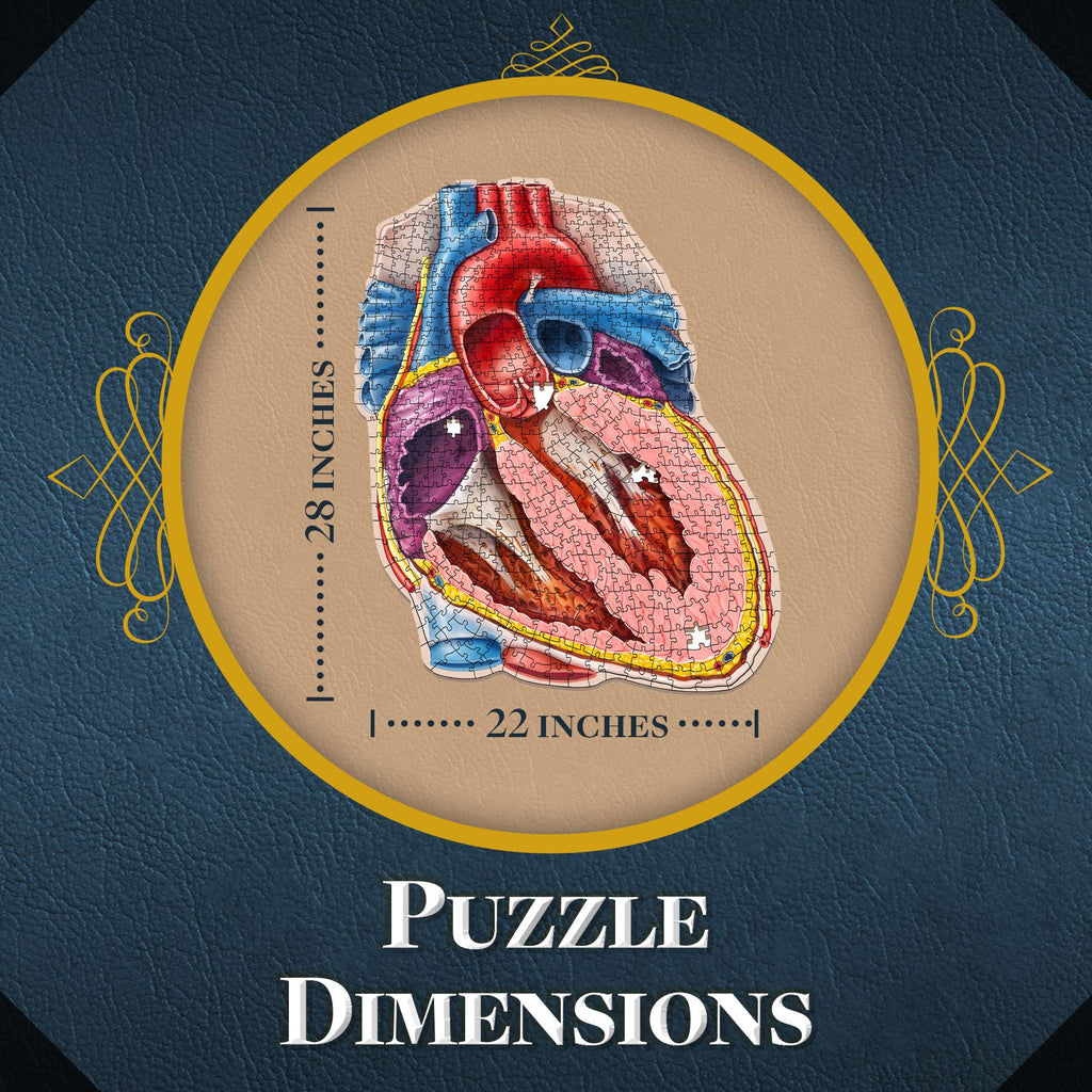 Dr. Livingston's Human Heart Anatomy Puzzle - A Medically Accurate Jigsaw Puzzle of the Heart Section - Educational Organ Puzzle for Teens & Adults - Unique Science Gift for Doctors, Nurses & Teachers