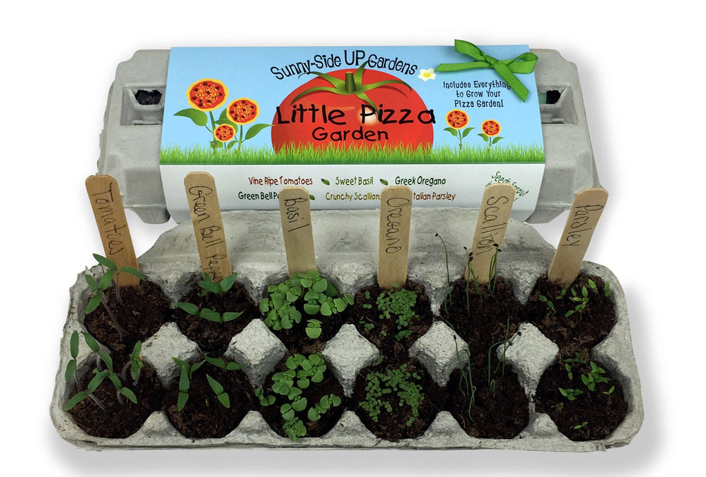 Little Pizza Garden Grow Kit