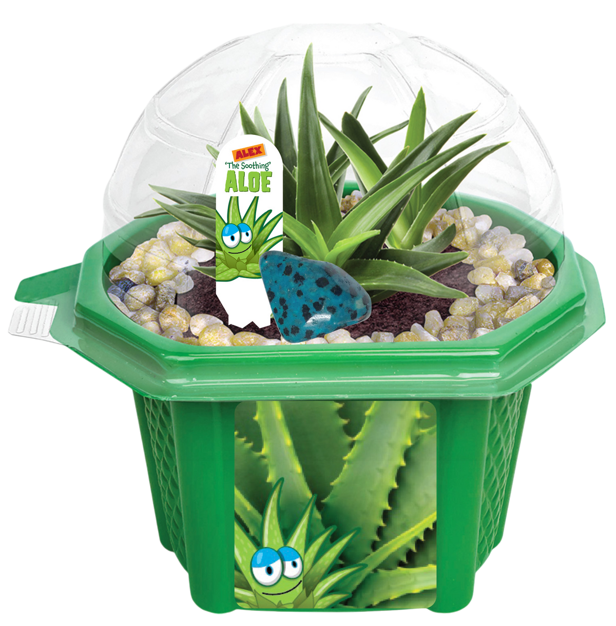 Alex 'The Soothing' Aloe Micro Dome Terrarium