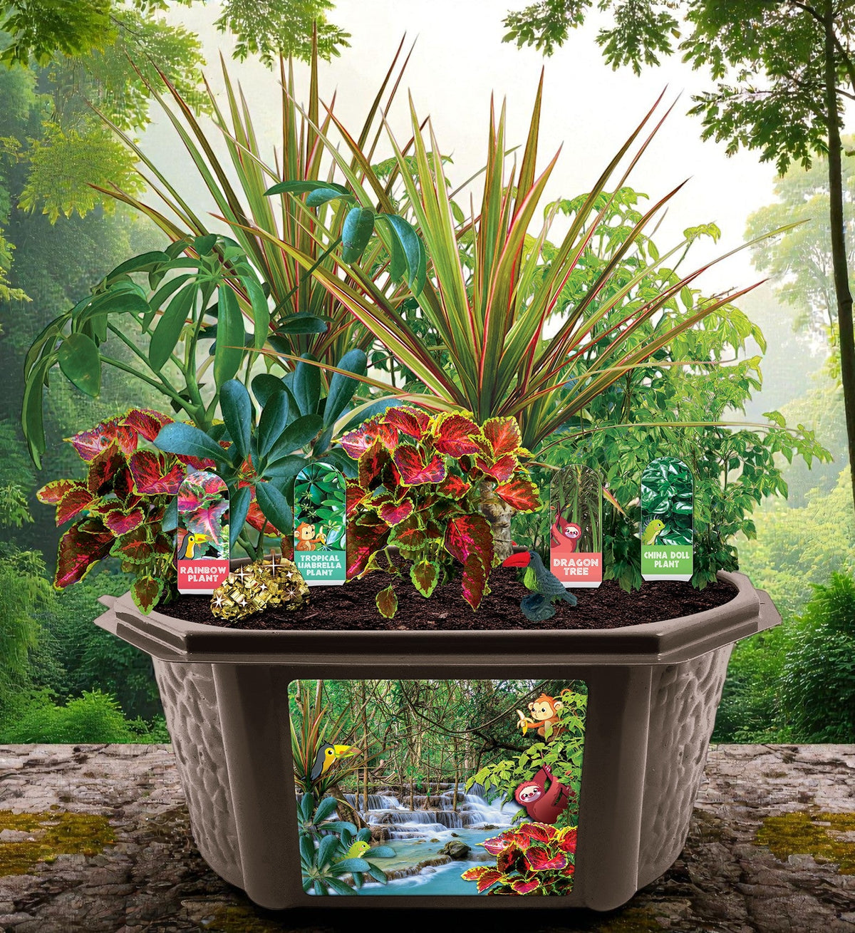 Tropical Rainforest Jungle Biosphere Terrarium