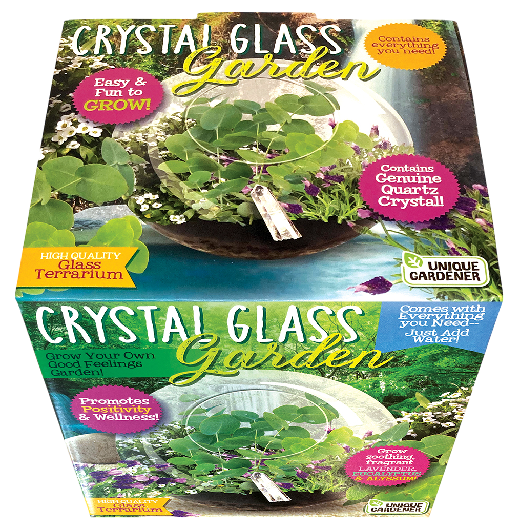 Crystal Glass Garden Seed Starting Terrarium
