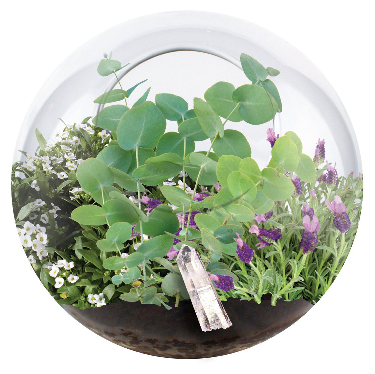 Crystal Glass Garden Seed Starting Terrarium