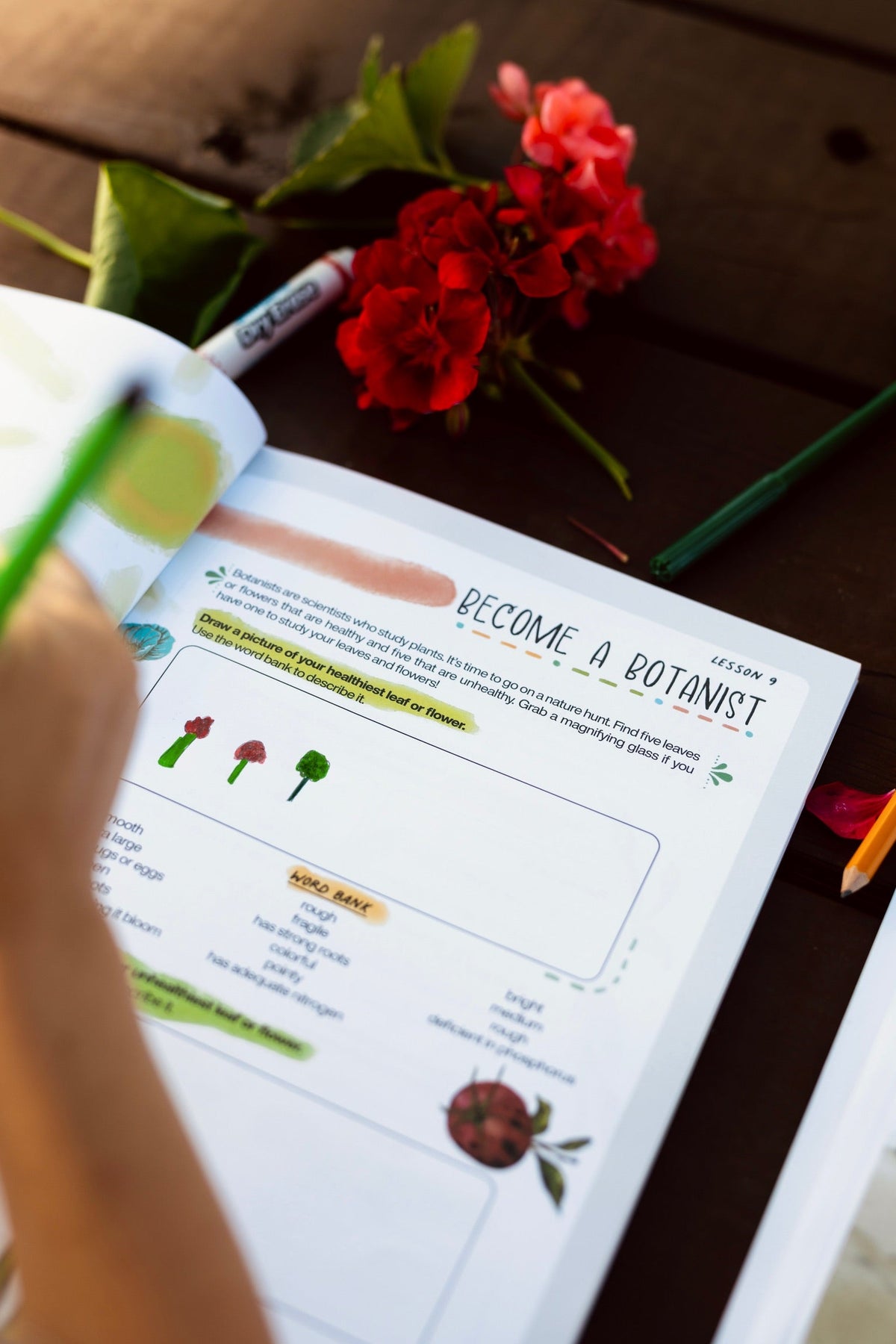 In the Garden - Workbook from Dirt Academy Kids | K-2 & 3-5th Grades