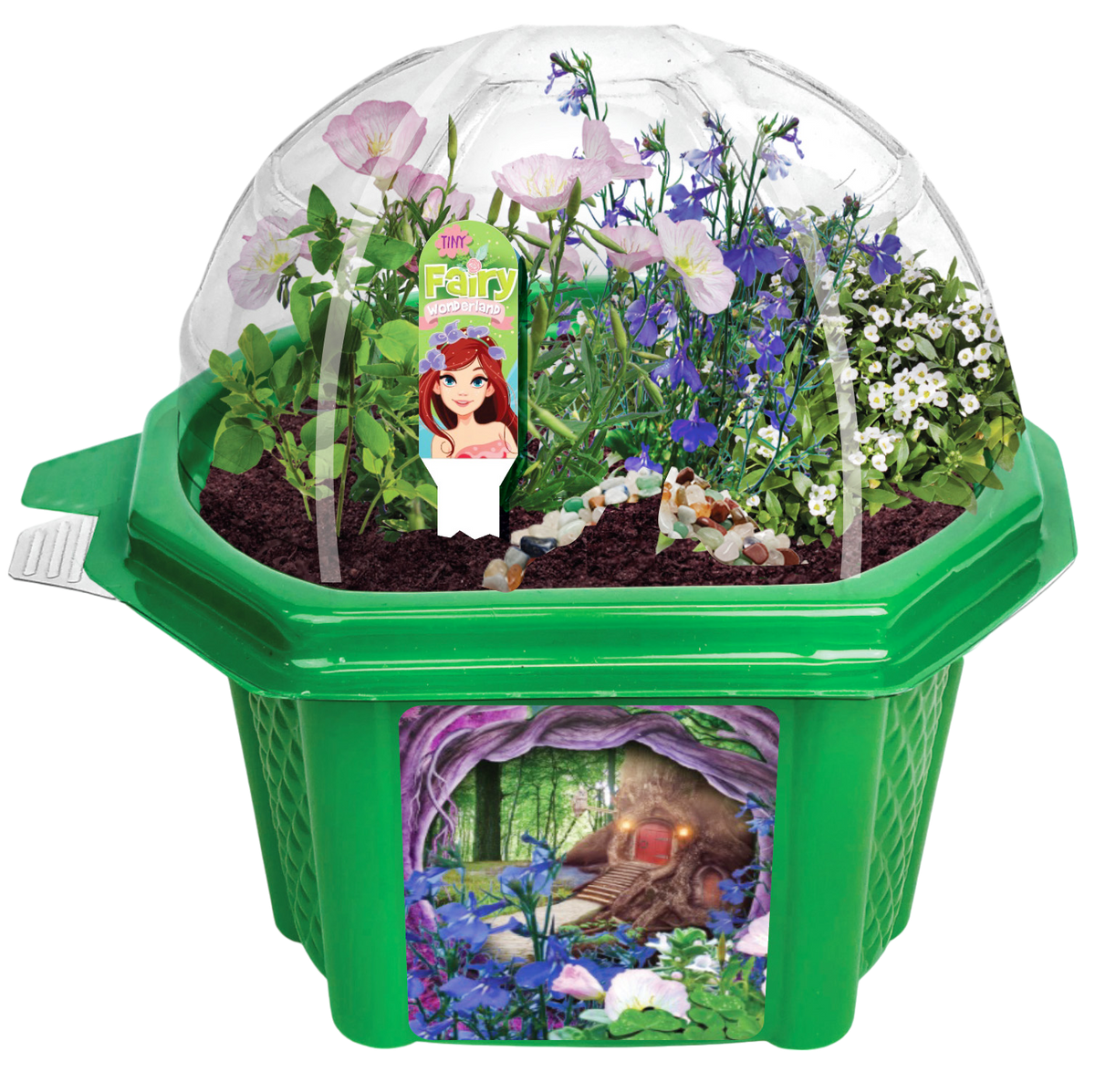 Tiny Fairy Wonderland Micro Dome Terrarium