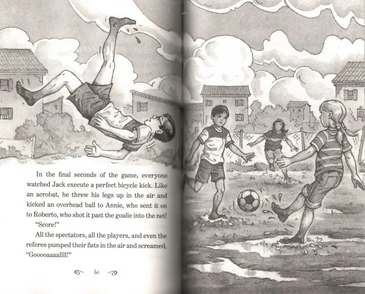 27 Books MAGIC TREE HOUSE