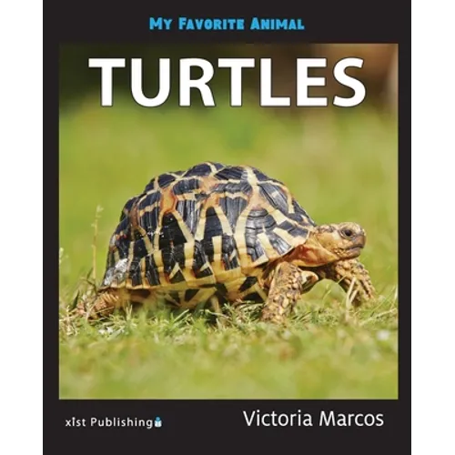 My Favorite Animal: Turtles