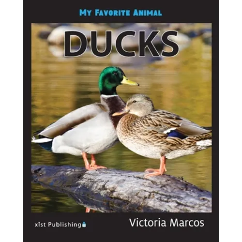 My Favorite Animal: Ducks