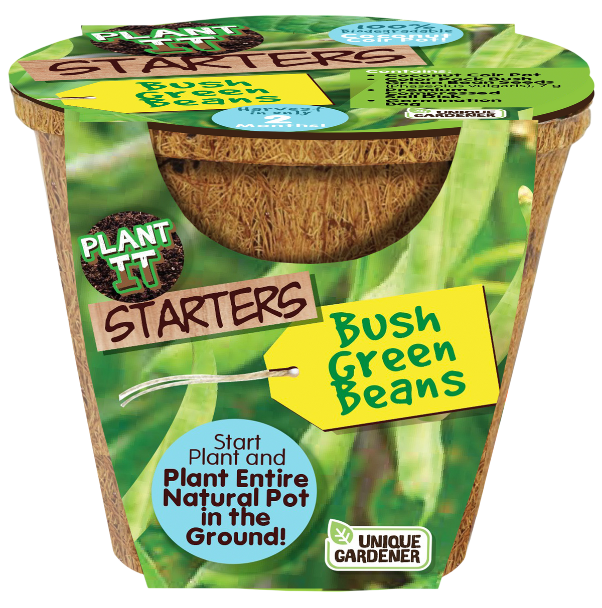 Green Bush Beans Plant-It-Starters - Multipack of 4