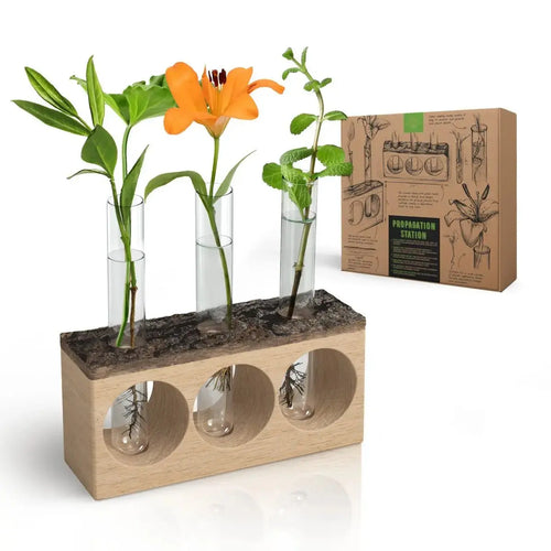 Plant Propagation Station