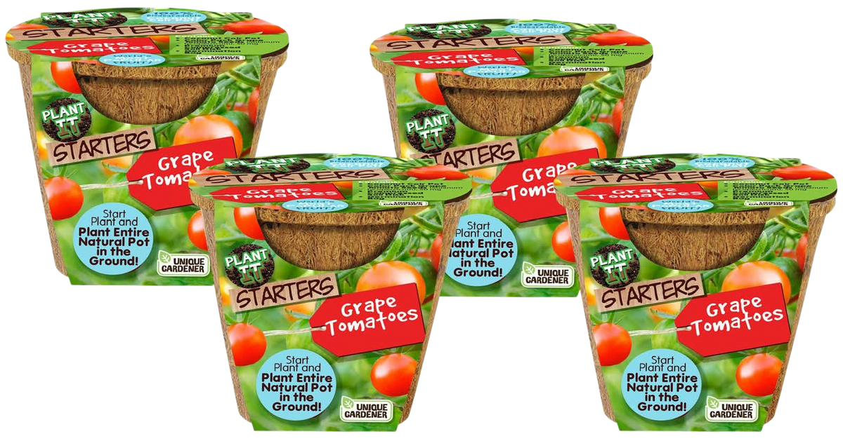 Grape Tomatoes Plant-It-Starters - Multipack of 4