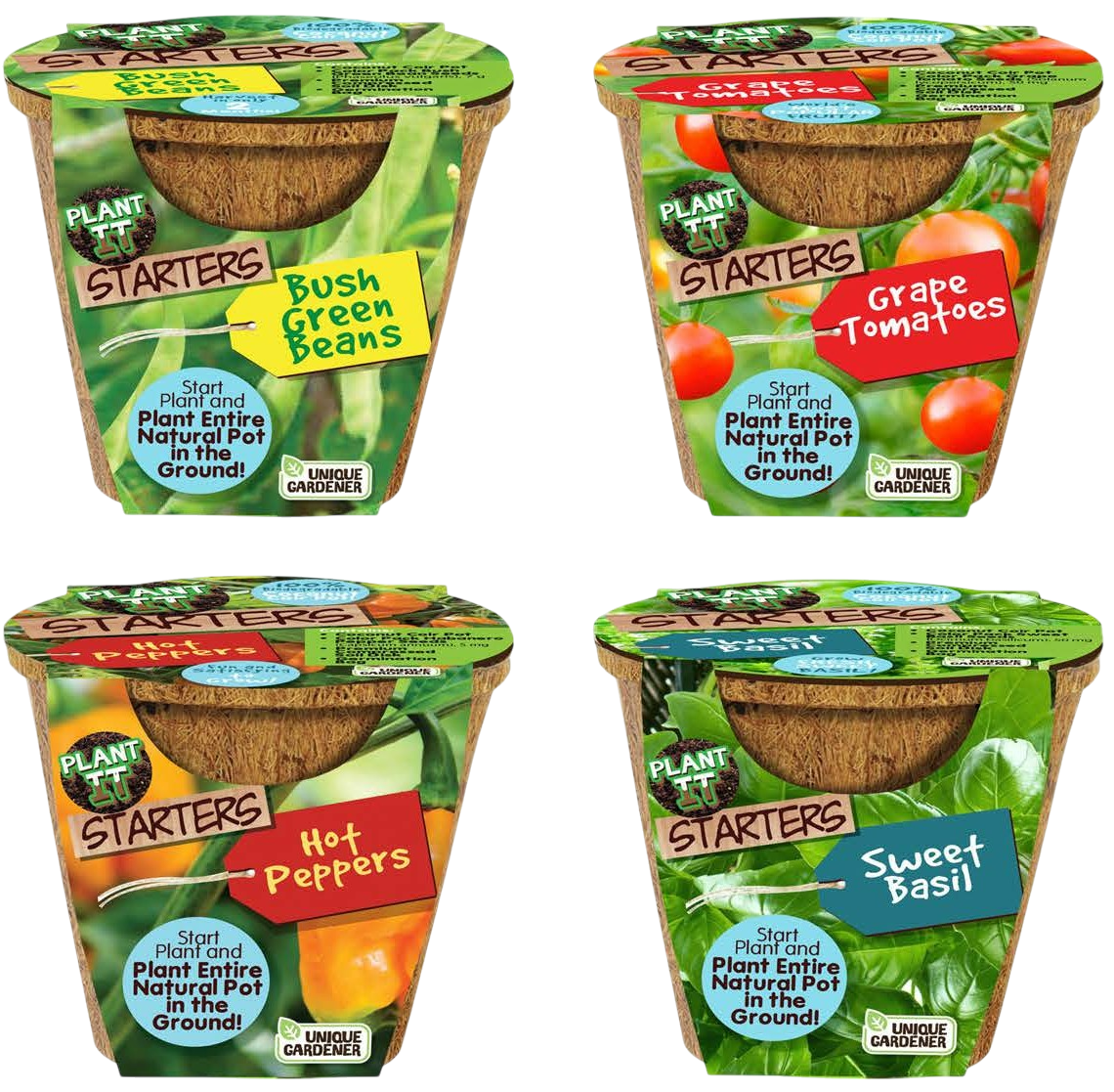 Plant-It-Starters 4 Variety Pack - 1 of Each
