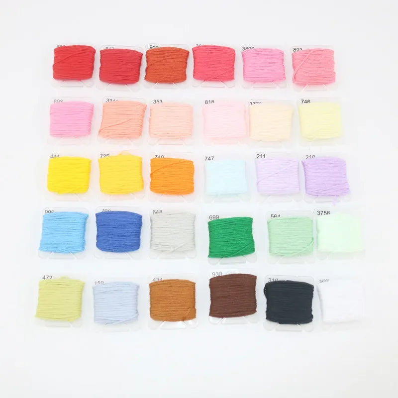 Storage Box Cross Stitch Tools Embroidery Kit Embroidery Floss Cross Stitch Threads Bracelet String Kit with Organizer