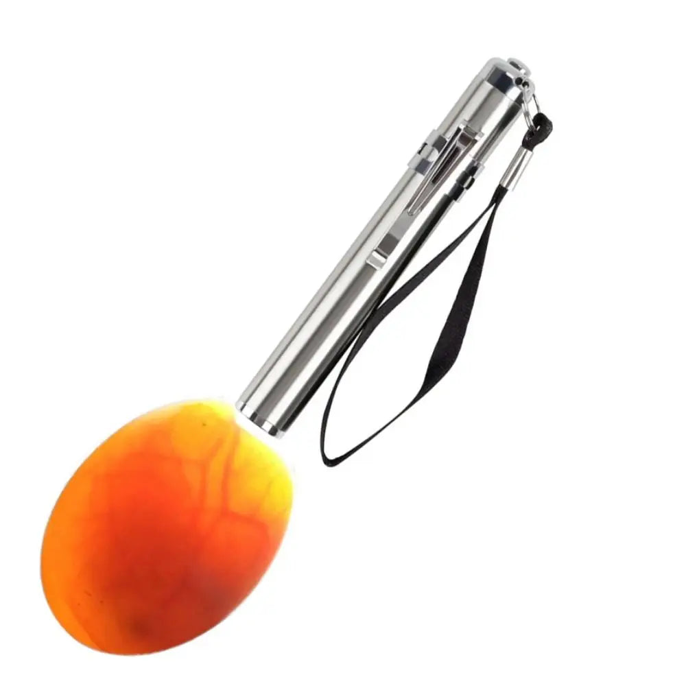 Egg Candler Tester, Bright Cool LED Light Candling Lamp for All Chicken Dark Quail or Duck Eggs