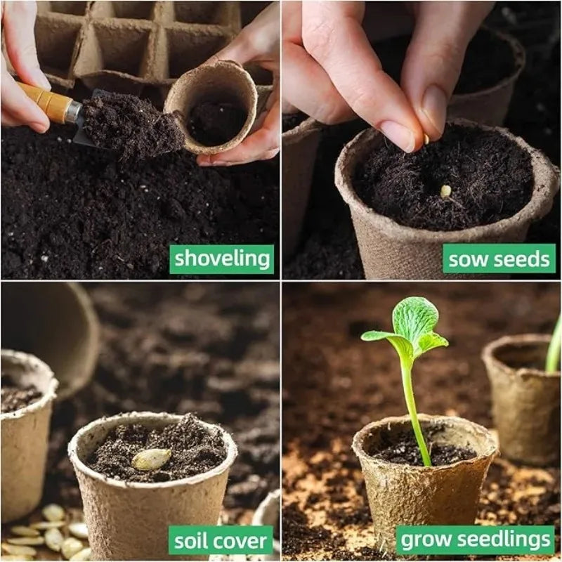 3.15 Inch Biodegradable Peat Seedling Pots for Succulent Propagation Flower Germination Durable Plant Seed Trays Outdoor Use