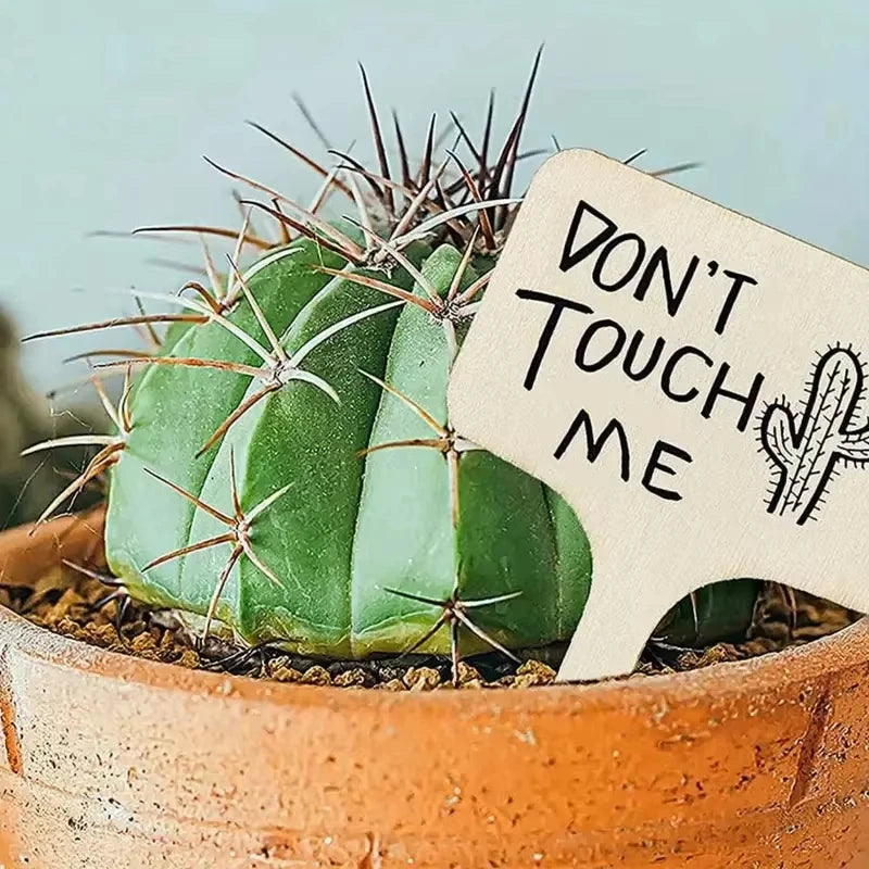 100Pcs Wooden Plant Labels