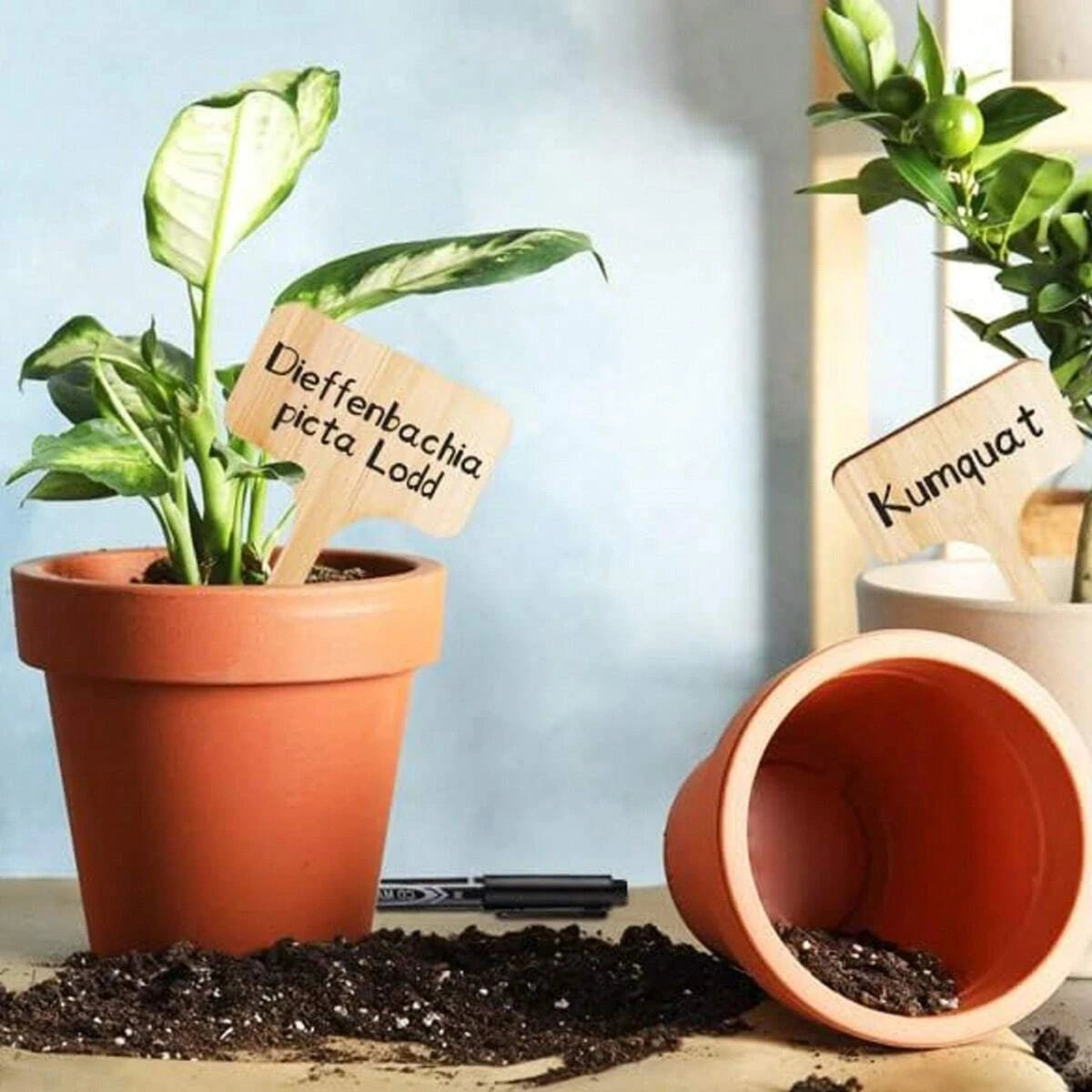 100Pcs Wooden Plant Labels