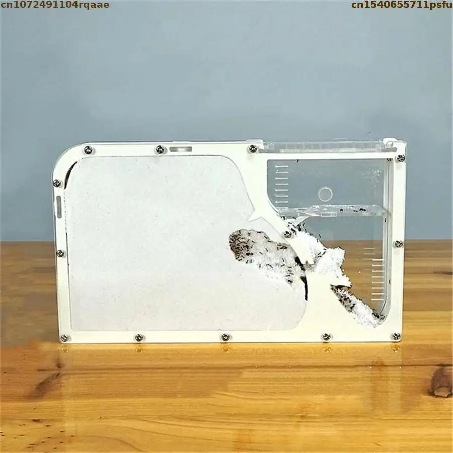 Acrylic Ant Castle Habitat for Children Educational Science Toy Insect Ant Farm Villa No Sand Included 2 Types