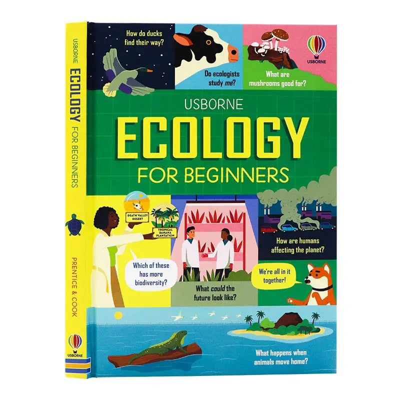 Usborne Money Business for Beginners Volume 11